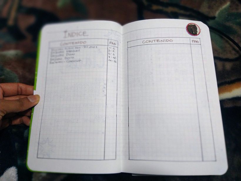 Mi Proyecto del curso: Bullet journal 5