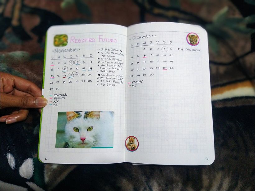 Mi Proyecto del curso: Bullet journal 6