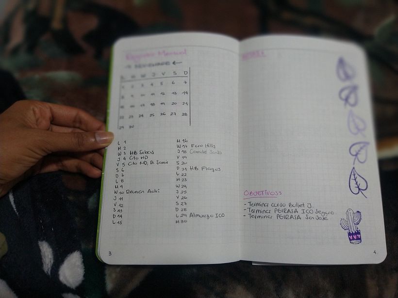 Mi Proyecto del curso: Bullet journal 7