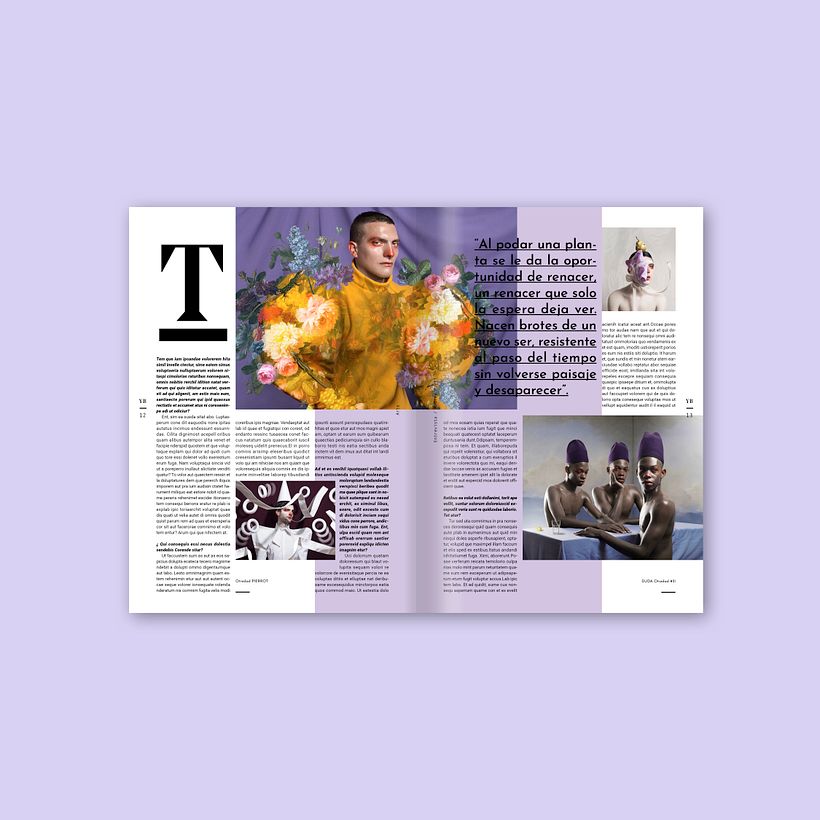Main article