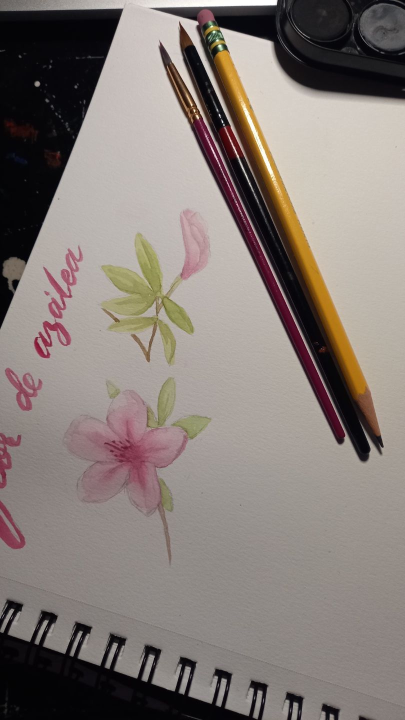 Flower sketch course  2
