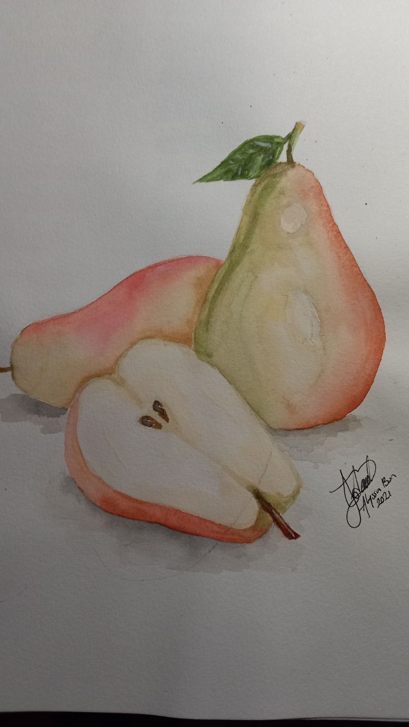 Flower sketch course  2