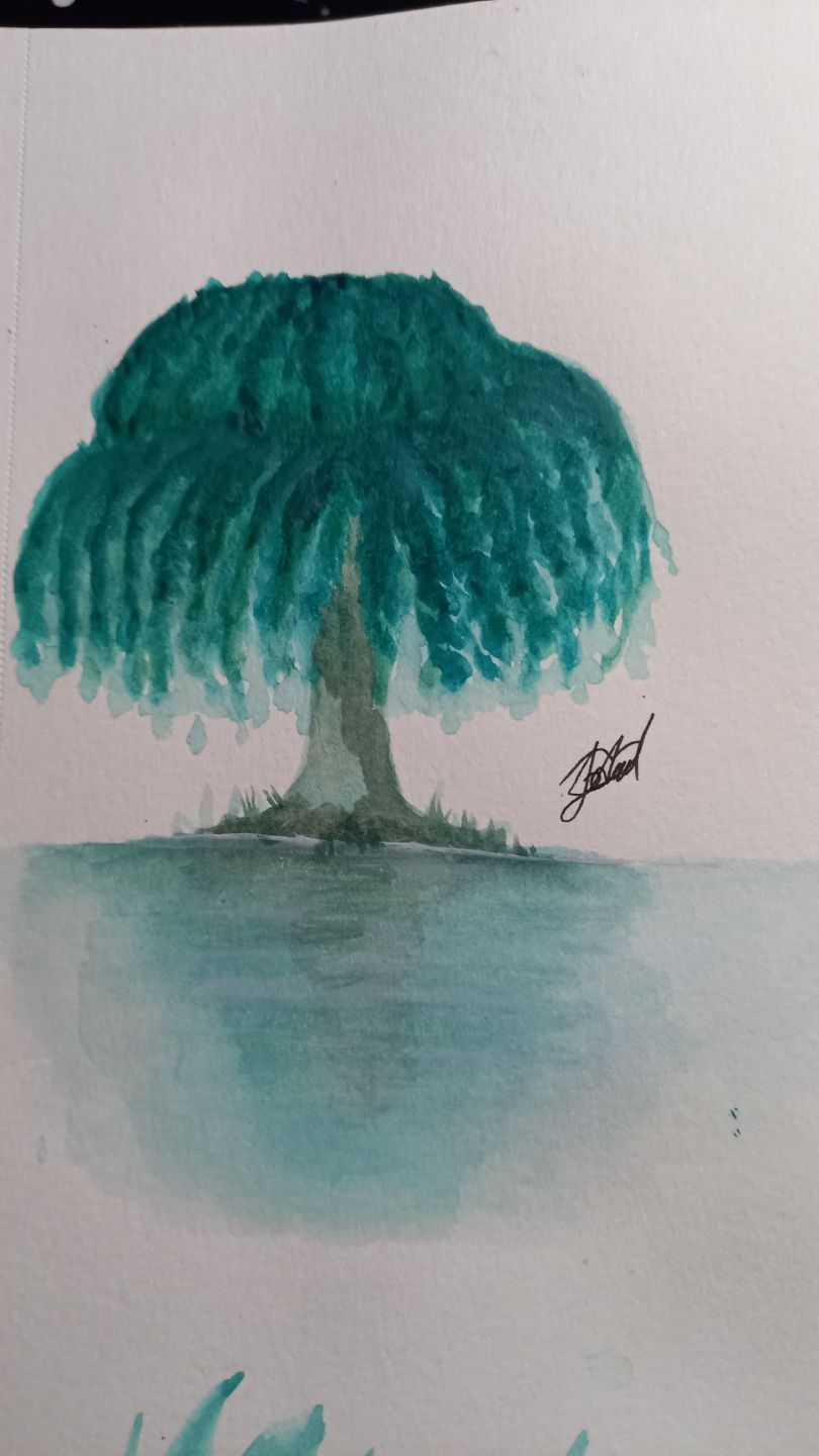Flower sketch course  3