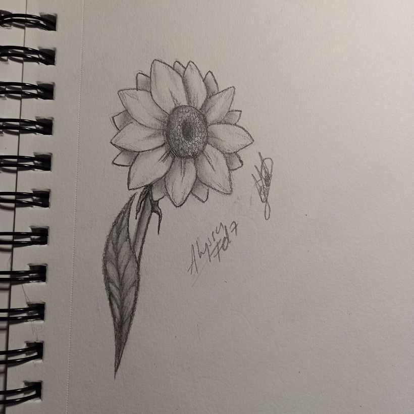 Flower sketch course  6