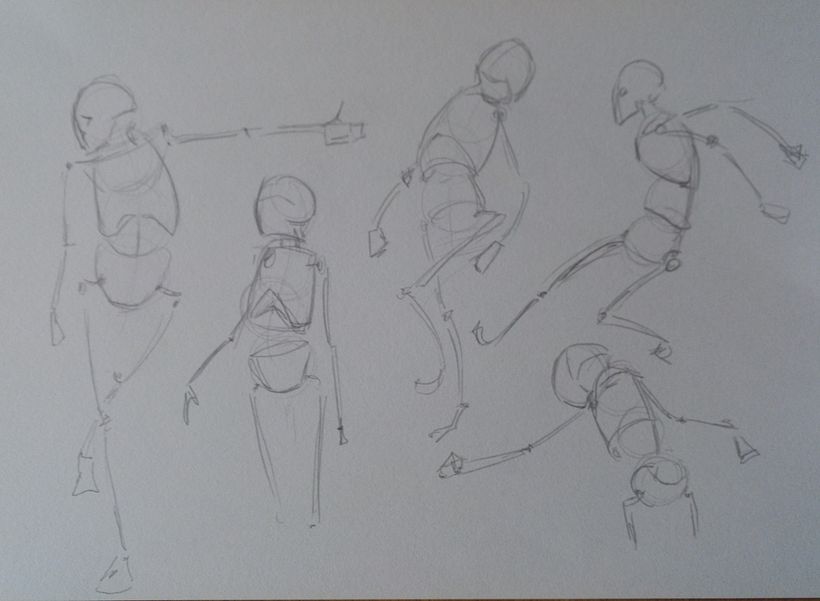 Mein Kursprojekt: Anatomische Zeichnung für Anfänger 5