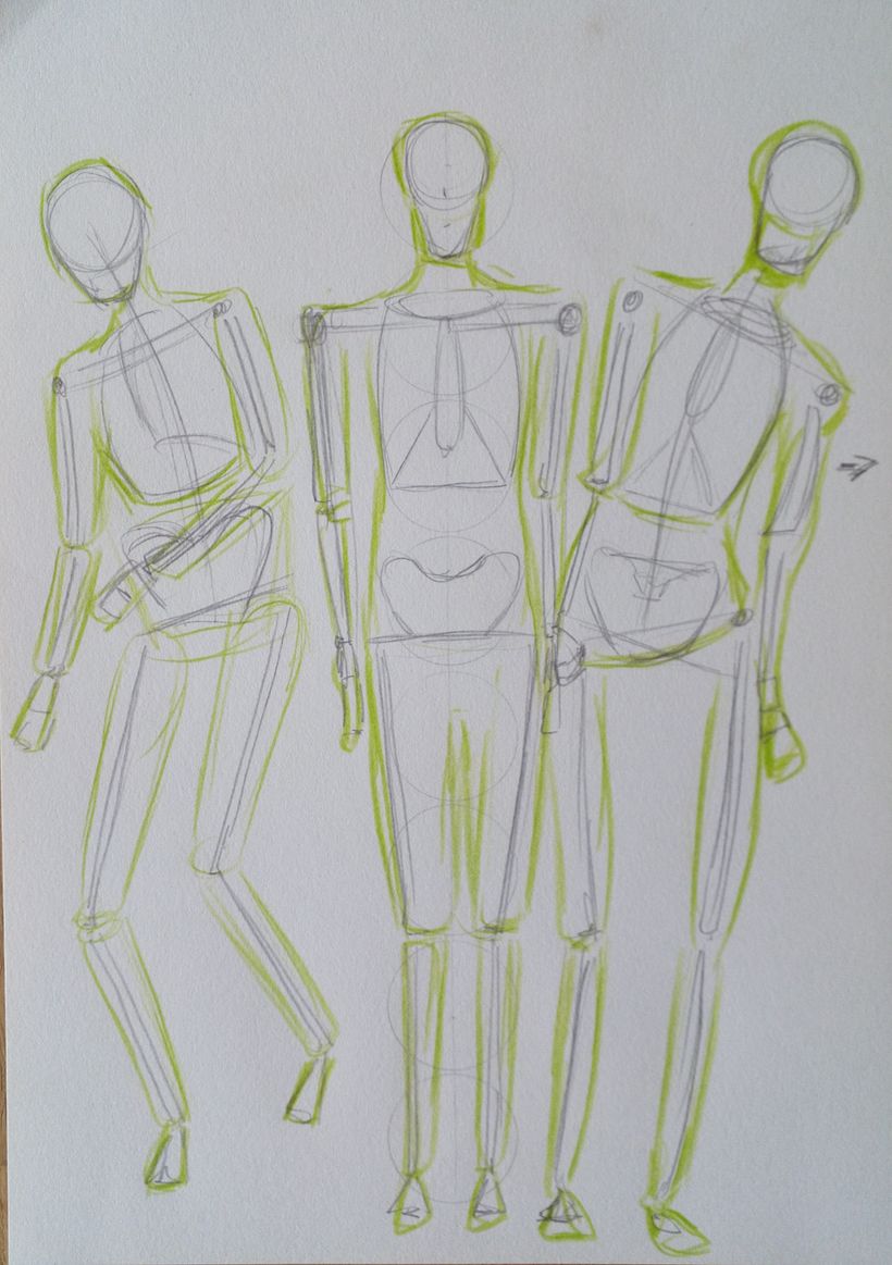 Mein Kursprojekt: Anatomische Zeichnung für Anfänger 4