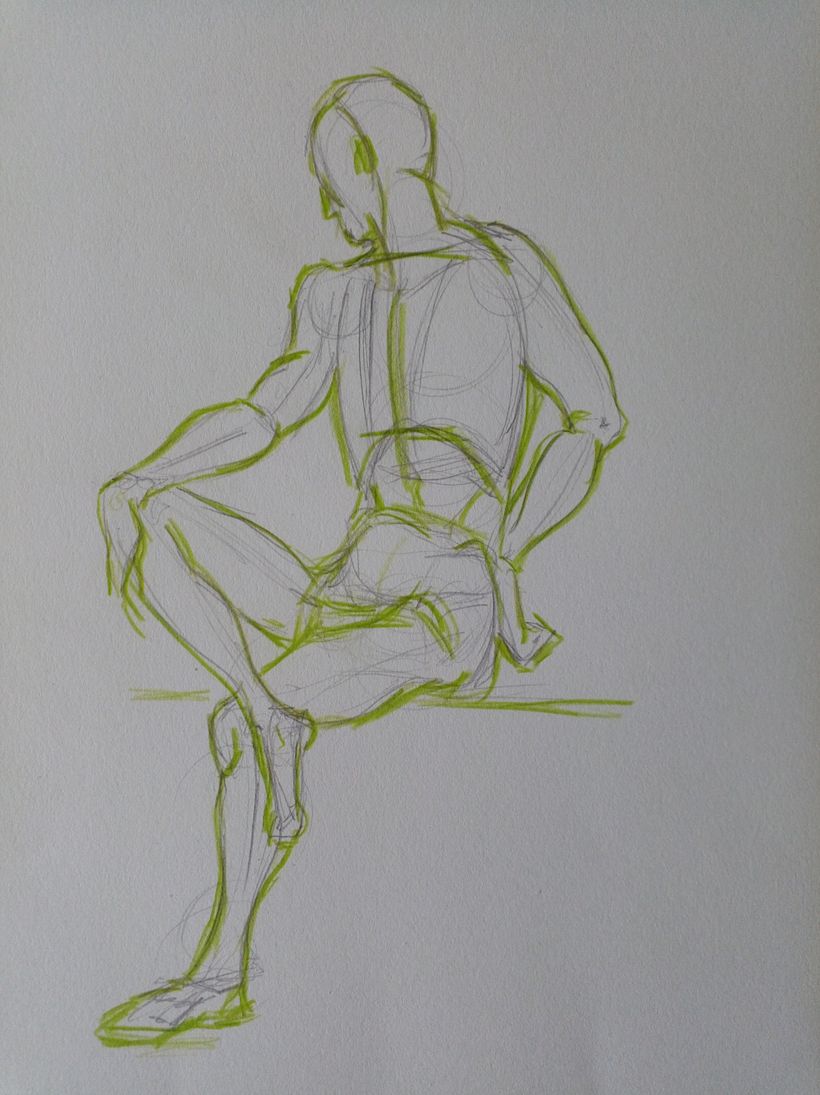 Mein Kursprojekt: Anatomische Zeichnung für Anfänger 1