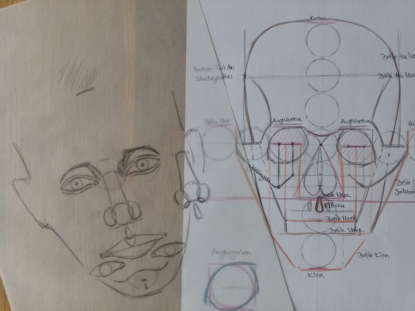 Mein Kursprojekt: Anatomische Zeichnung für Anfänger 8