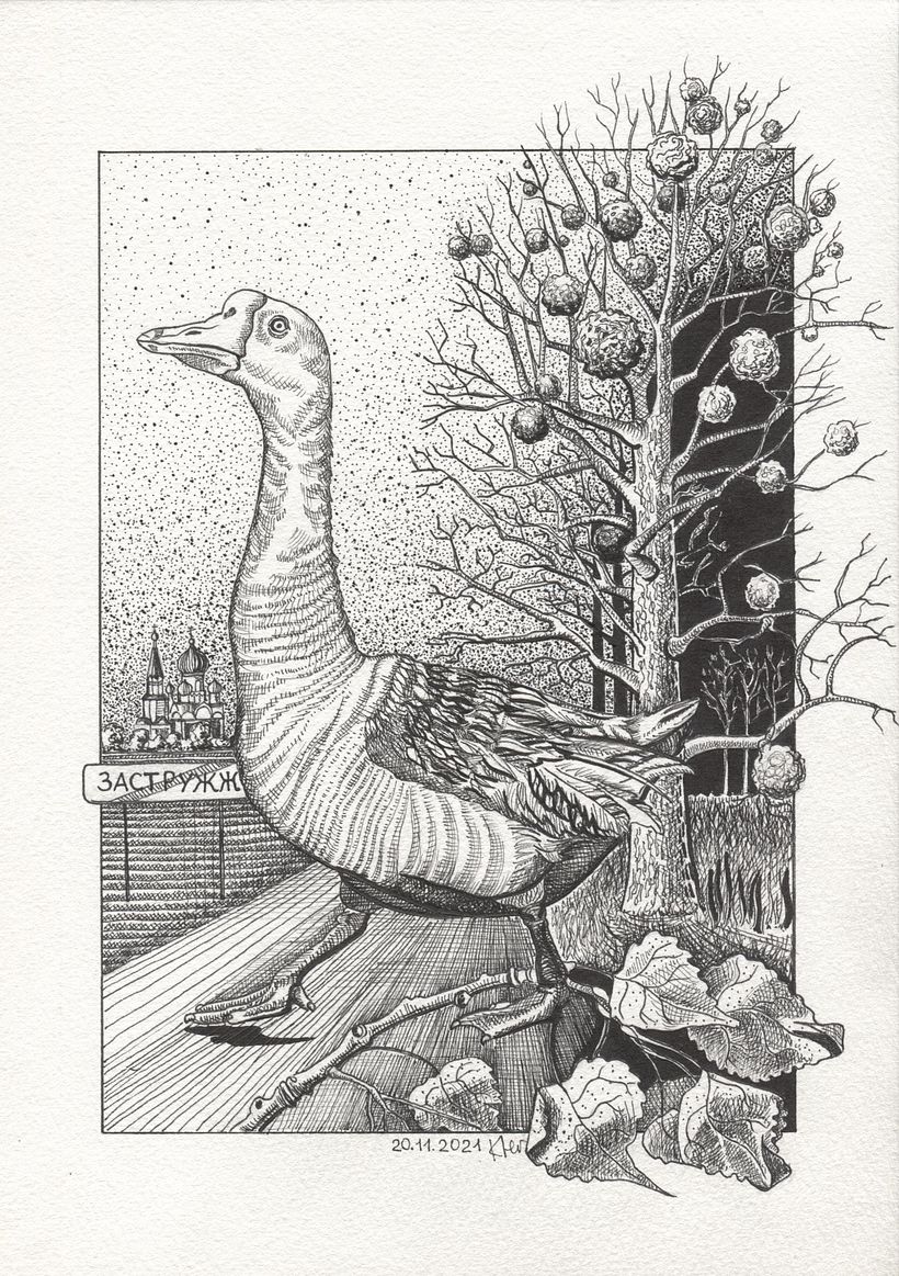 My project in Dip Pen and Ink Illustration: Capturing The Natural World course 1
