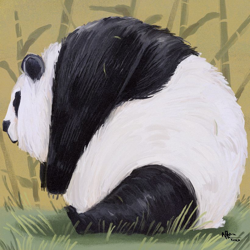 Chonky animals  (personal project) 2