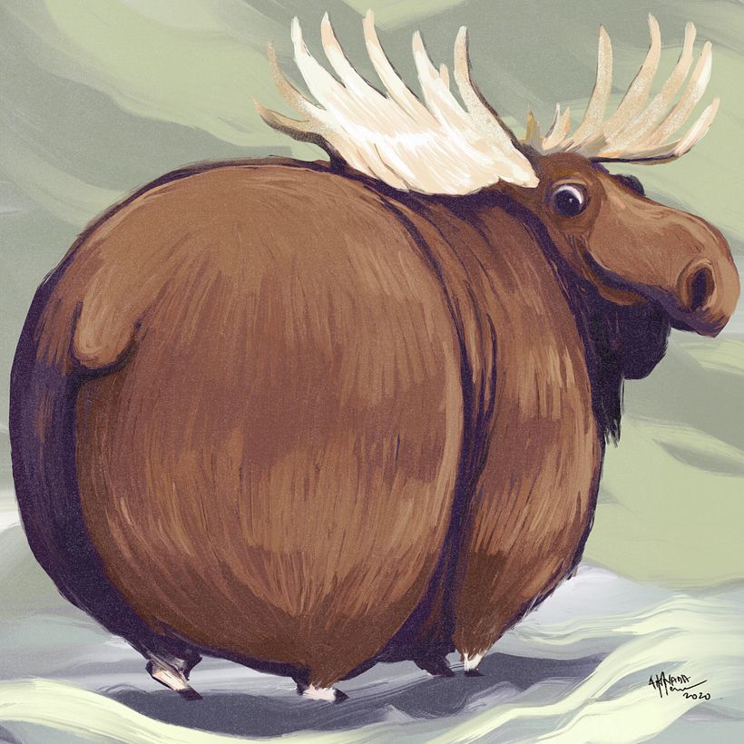 Chonky animals  (personal project) 3