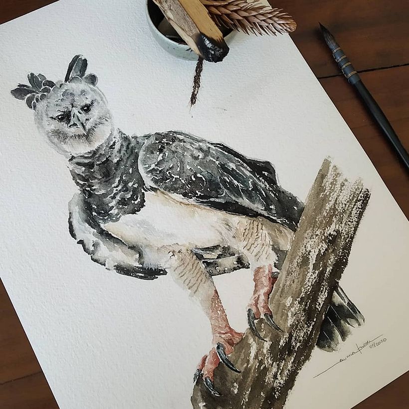 Aquarela de Brunna Frade via Instagram