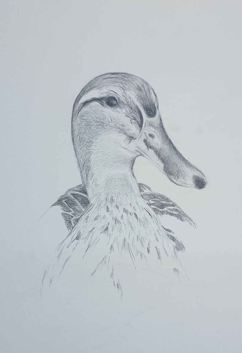 My project in Daily Sketching for Creative Inspiration course 18