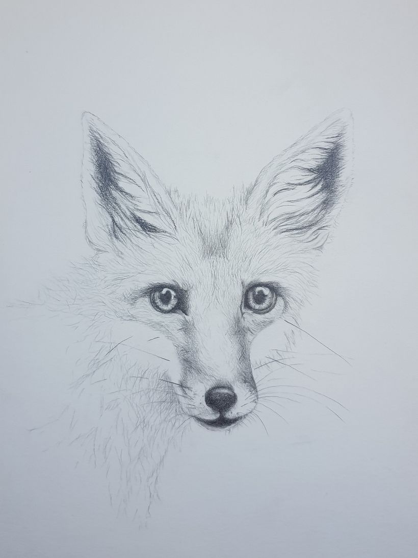 My project in Daily Sketching for Creative Inspiration course 17