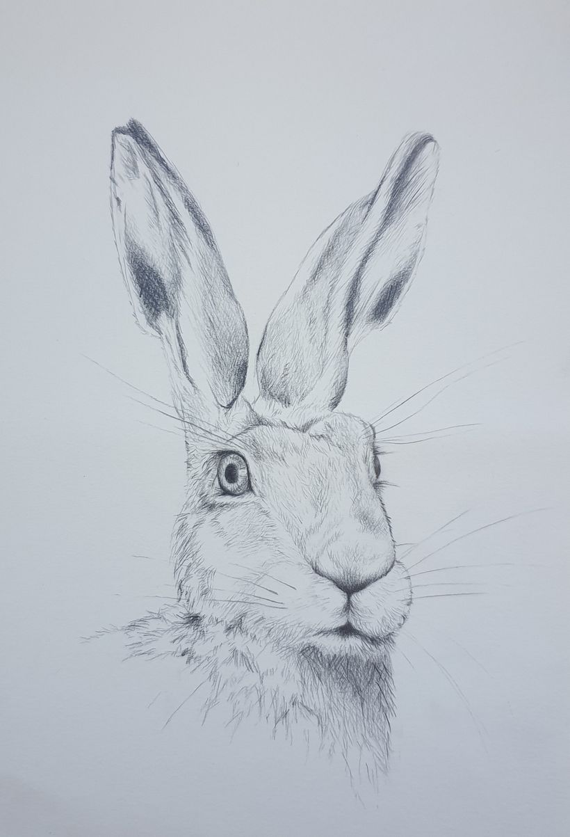 My project in Daily Sketching for Creative Inspiration course 16