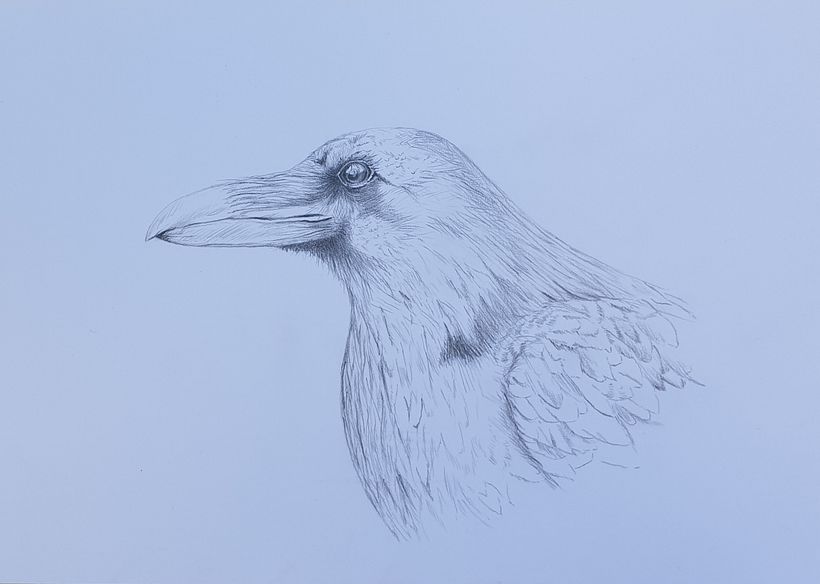 My project in Daily Sketching for Creative Inspiration course 19