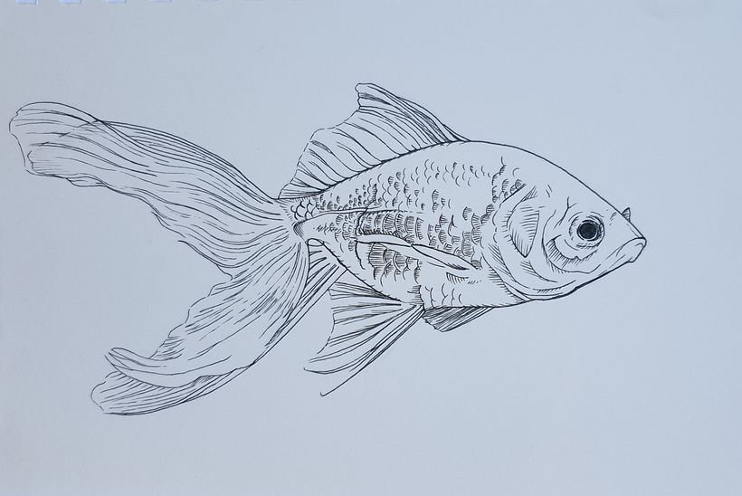 My project in Daily Sketching for Creative Inspiration course 12