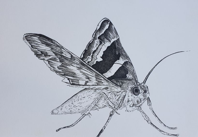 My project in Daily Sketching for Creative Inspiration course 10