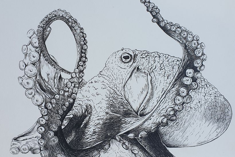 My project in Daily Sketching for Creative Inspiration course 14