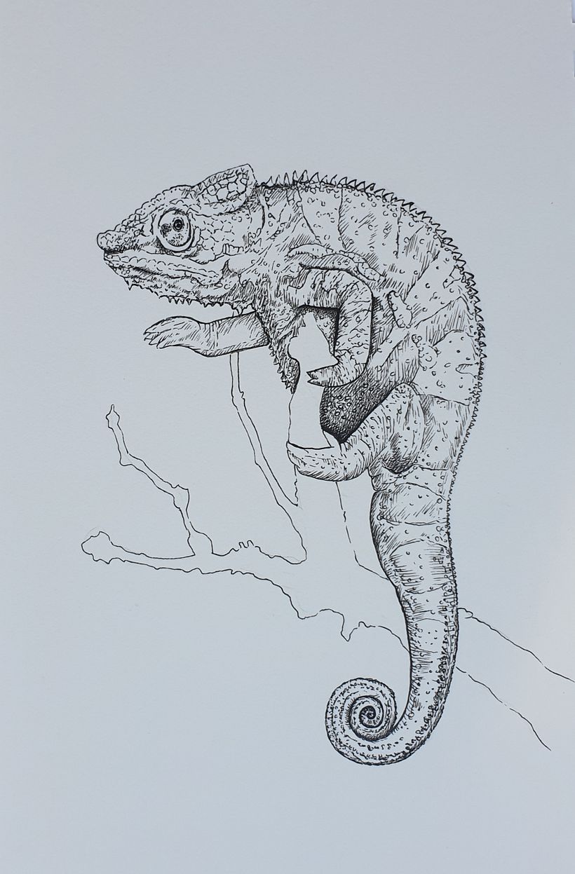 My project in Daily Sketching for Creative Inspiration course 15
