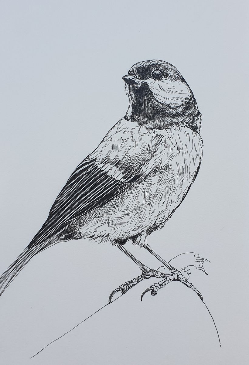 My project in Daily Sketching for Creative Inspiration course 7
