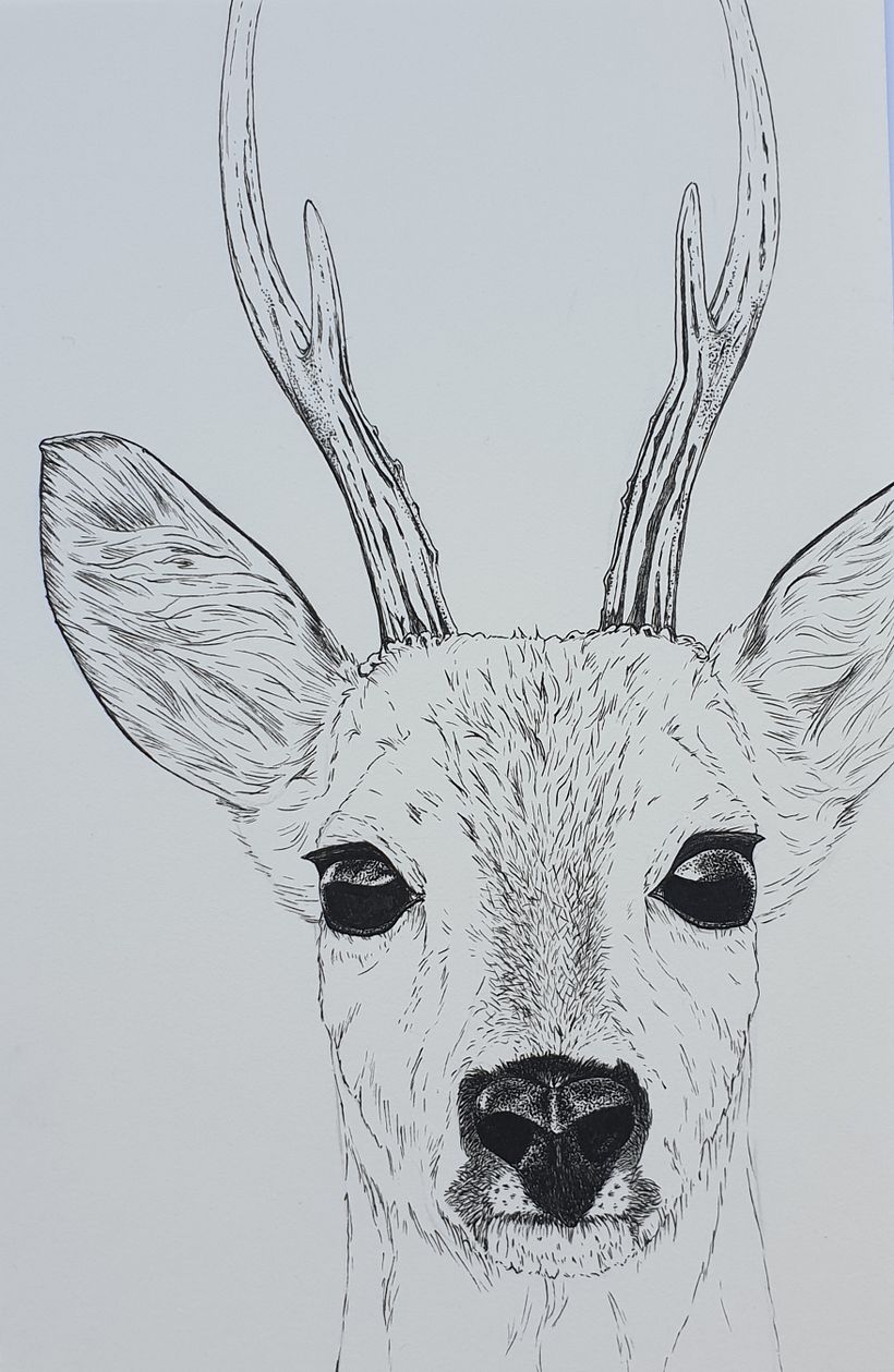 My project in Daily Sketching for Creative Inspiration course 9