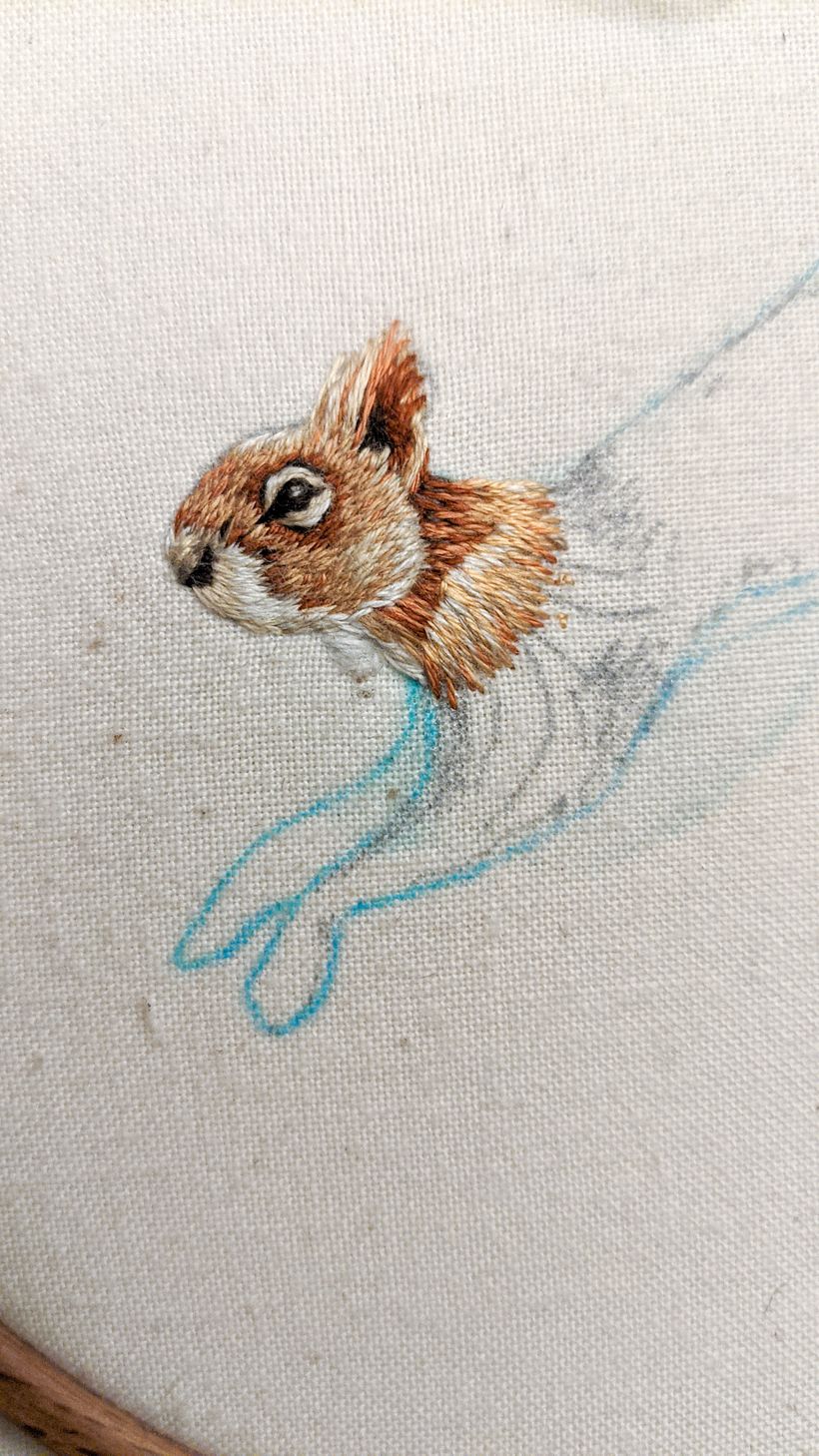 Practice squirrel with Chloe's outine