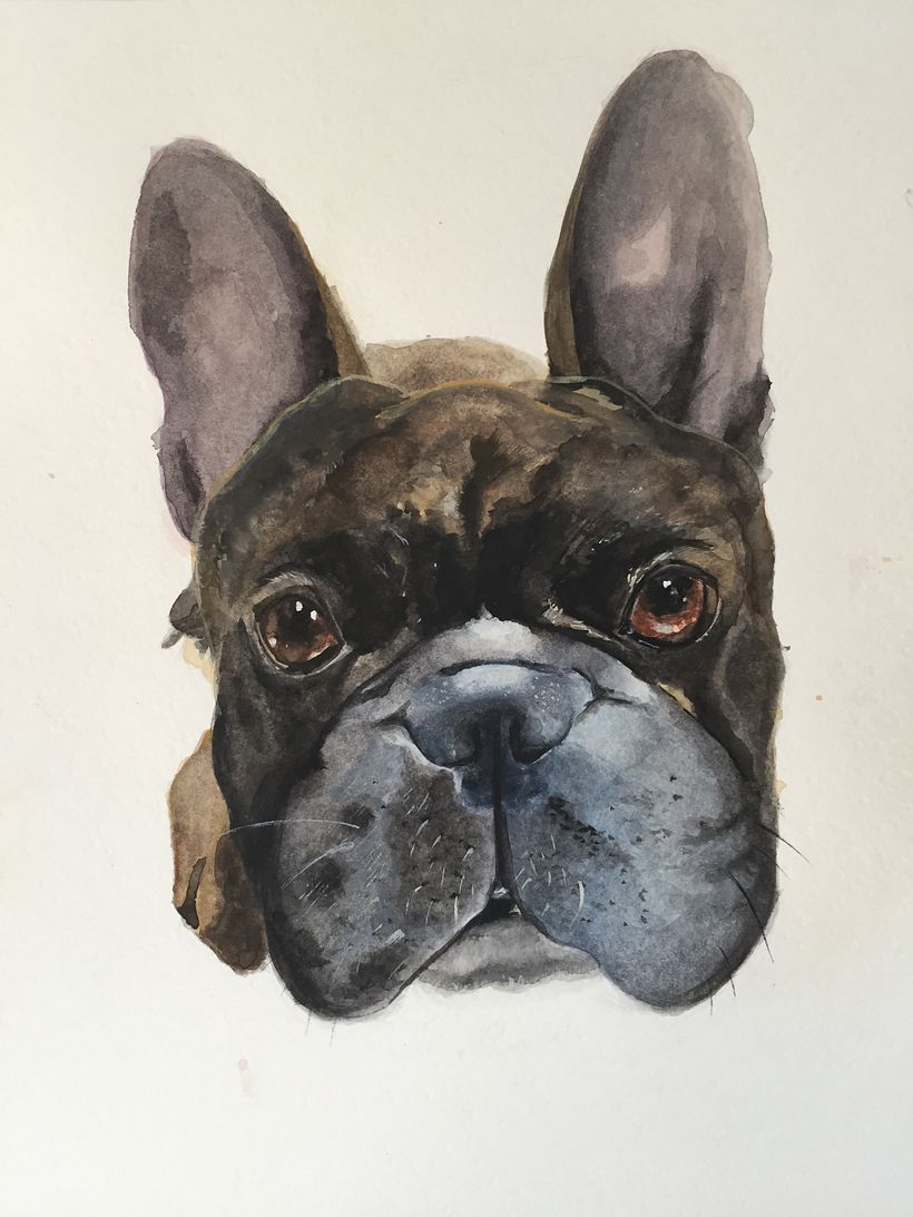 Retrato de Mascotas 1