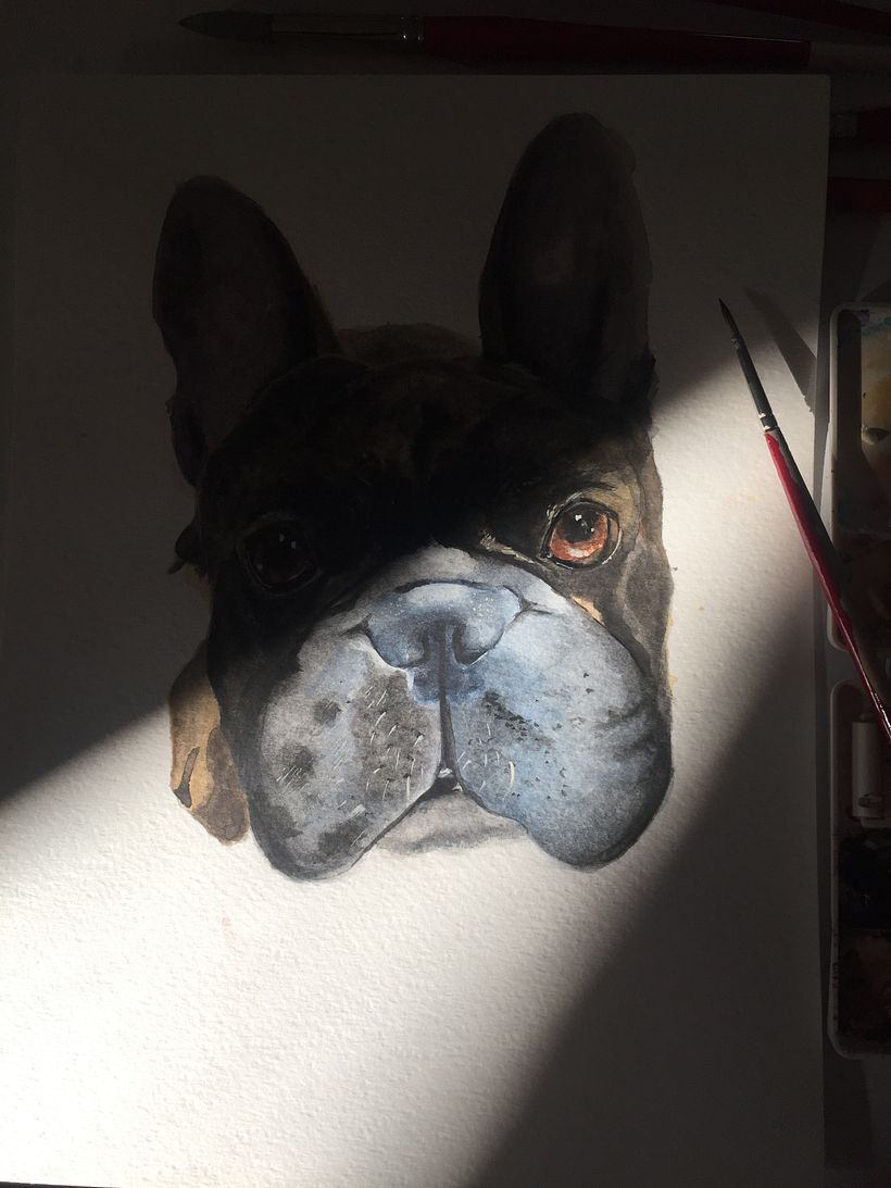 Retrato de Mascotas 2