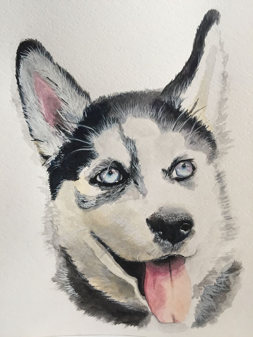 Retrato de Mascotas 3