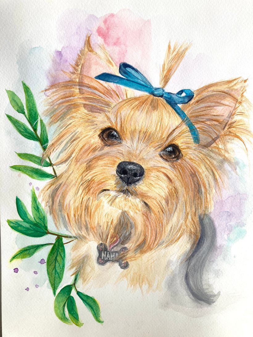 Retrato de Mascotas 5