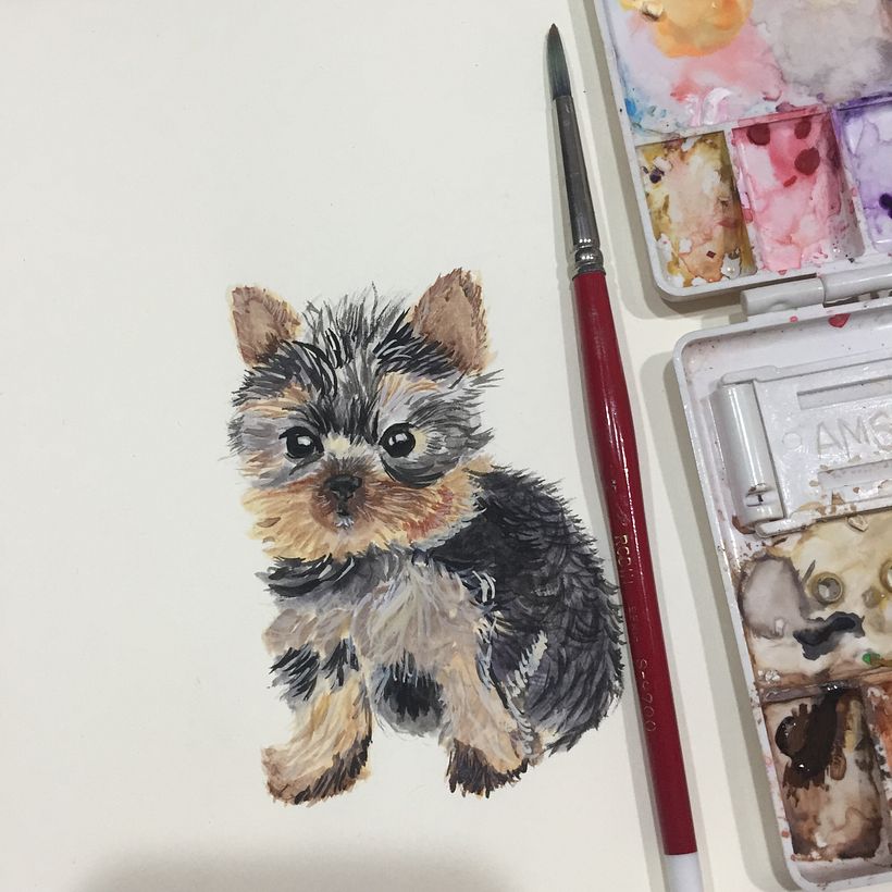 Retrato de Mascotas 9