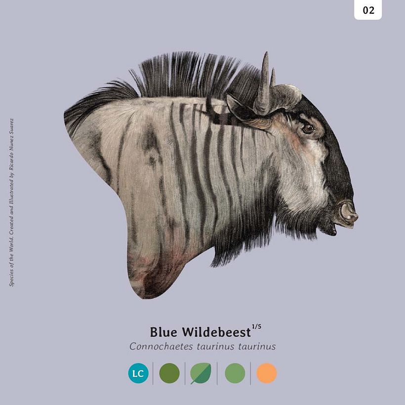 Especies, Enciclopedia ilustrada de todos lo mamíferos. 9
