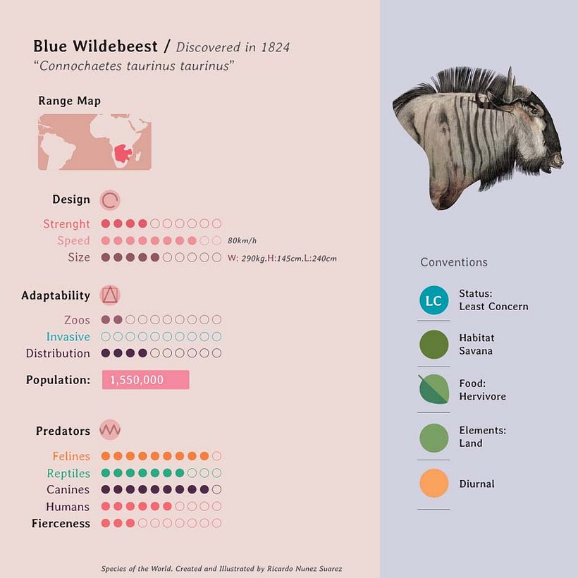 Especies, Enciclopedia ilustrada de todos lo mamíferos. 10