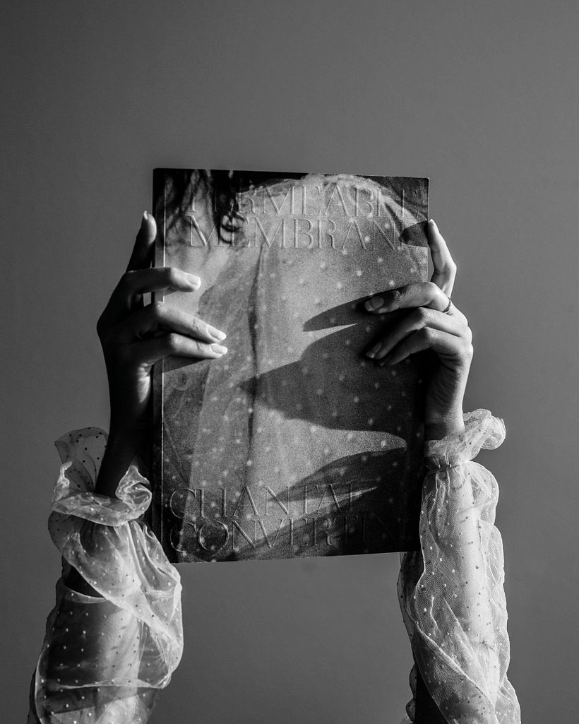 snippets of first art book "permeable membrane" 20