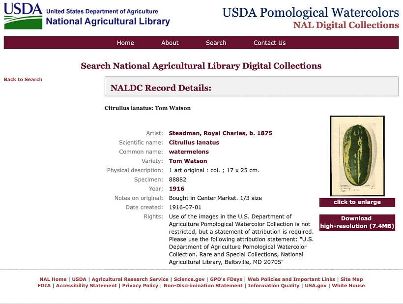 Ein Bildschirmfoto des digitalen Archivs