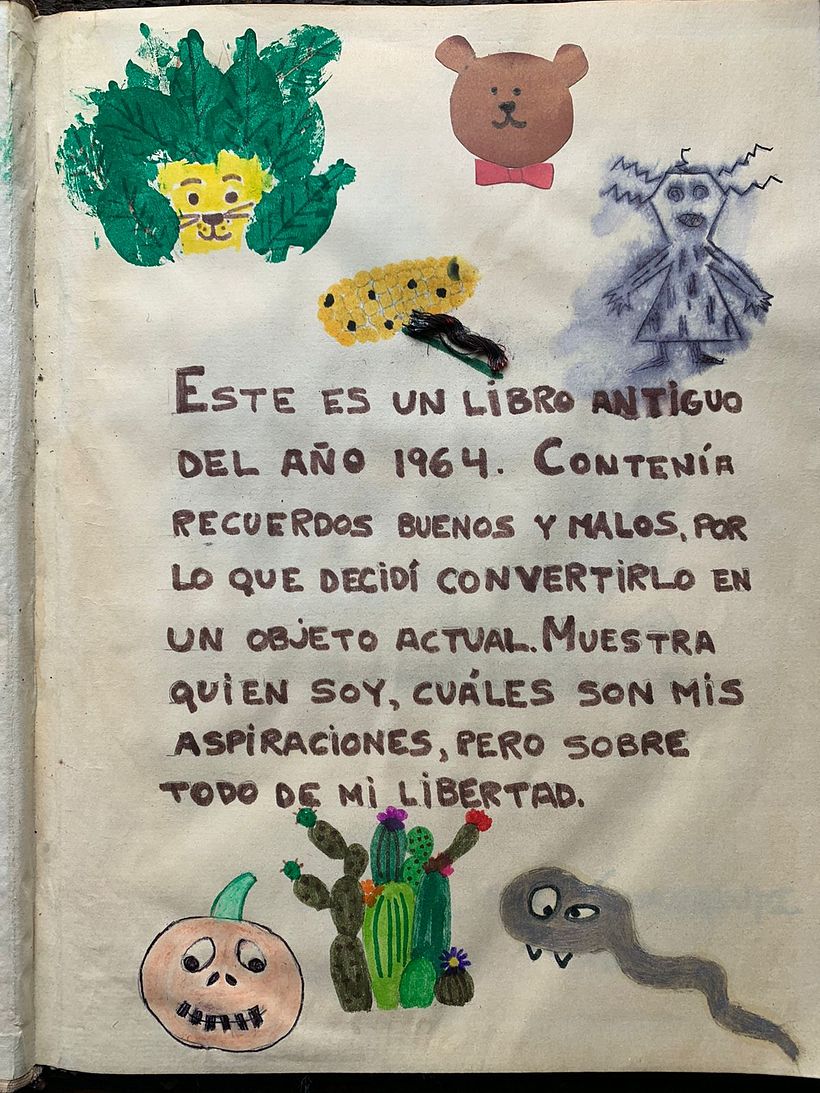 Introducción al fanzine