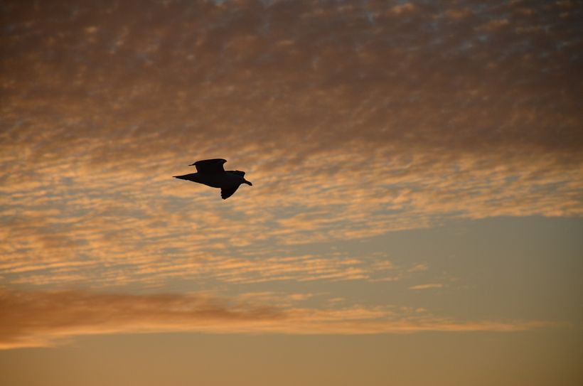 Paisaje y naturaleza 1