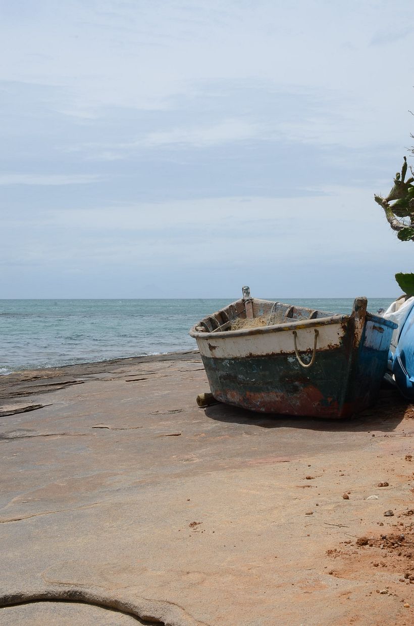 Paisaje y naturaleza 3