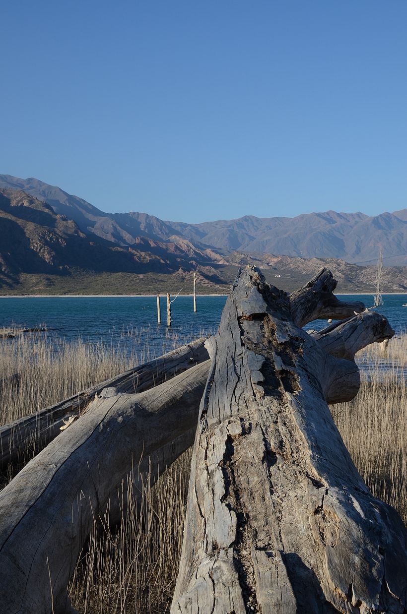 Paisaje y naturaleza 5