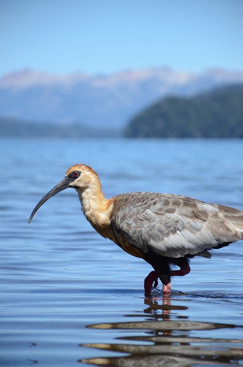 Paisaje y naturaleza 8