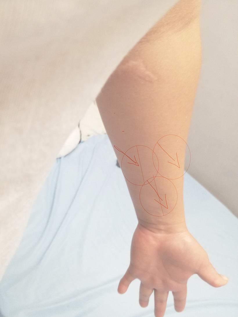 Mi Proyecto del curso: Tatuaje botánico con puntillismo 10
