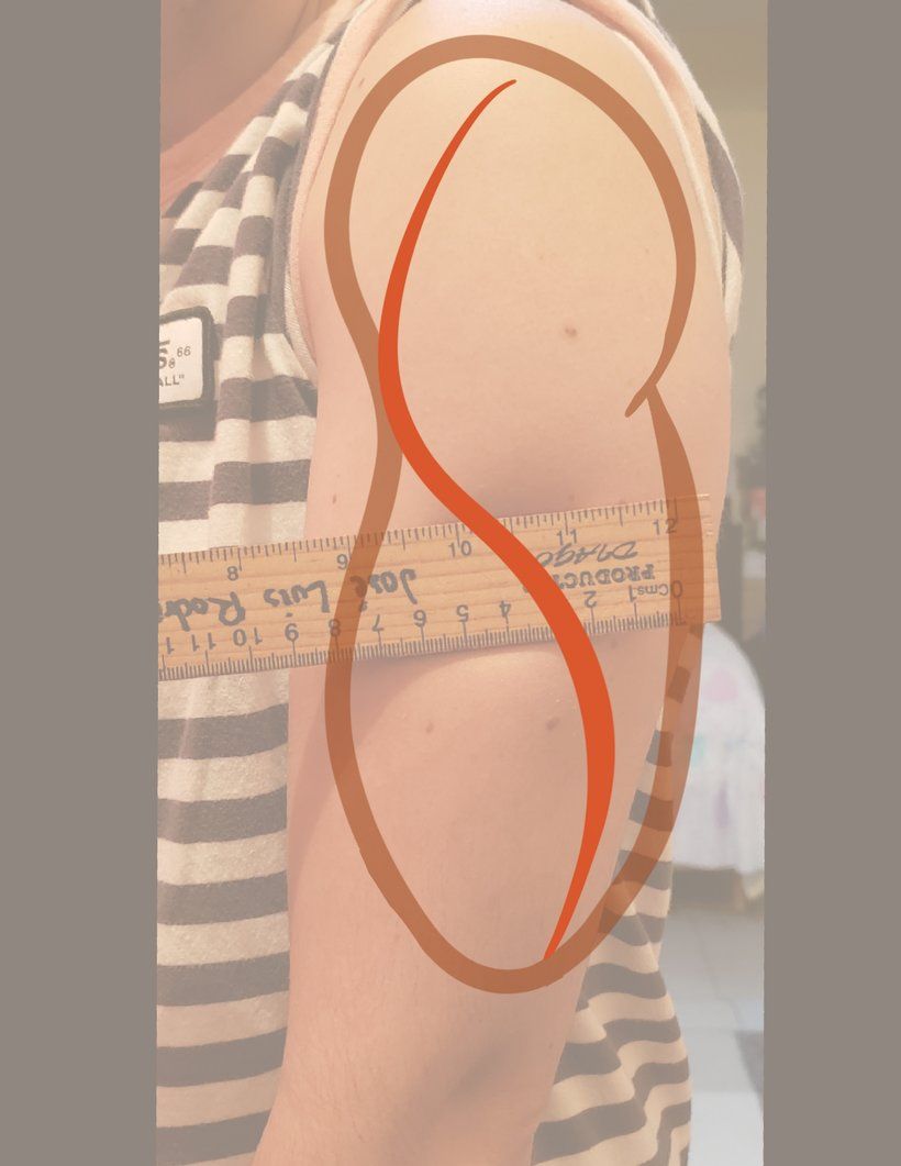 Abschlussprojekt: „Naturalistisches Tattoo: Von der Linie zur Haut“ 4