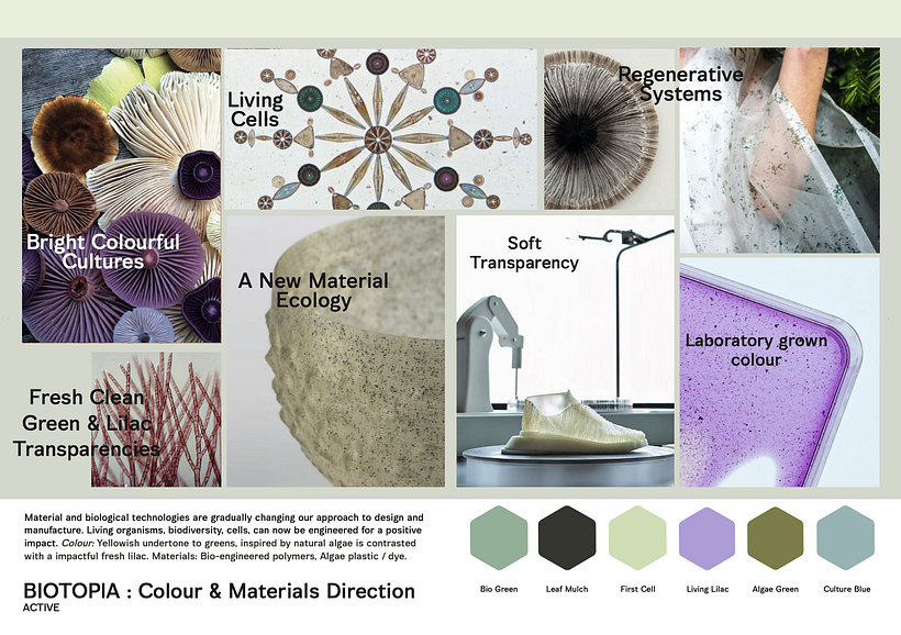 Trend & CMF Direction Mood boards