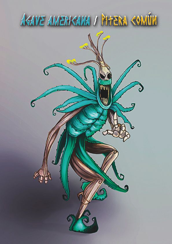 Monster Agave
