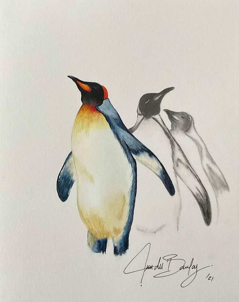Penguins_Watercolor_JeanduBoulay