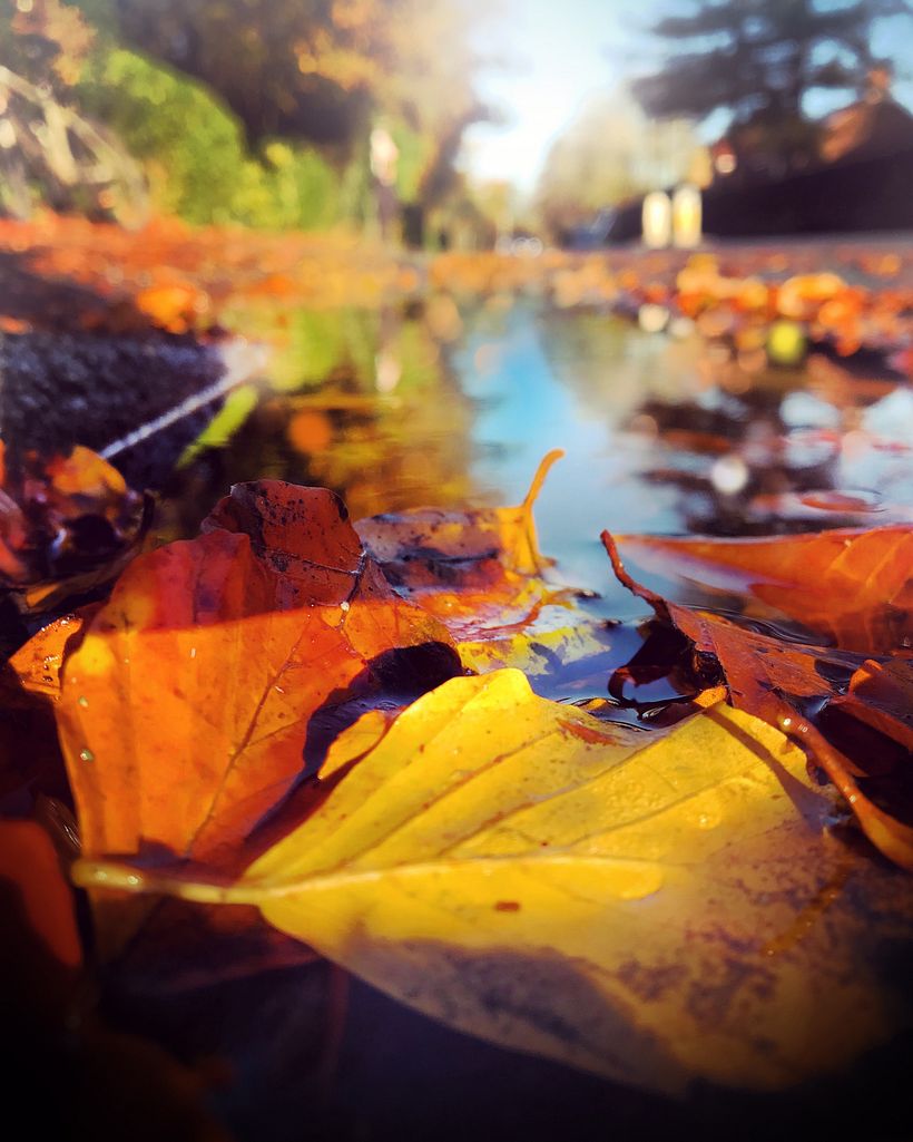 Moving around and experimenting with different vantage points can create a completely different photo.