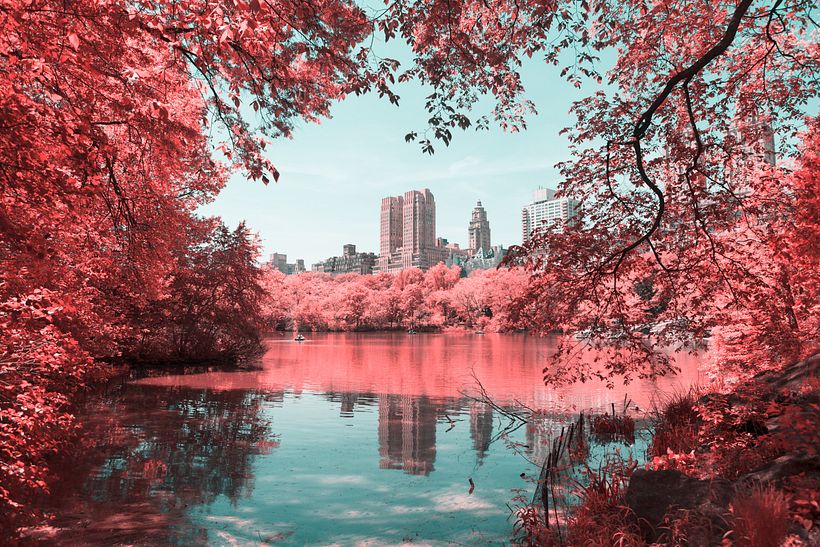 Infrared NYC 2