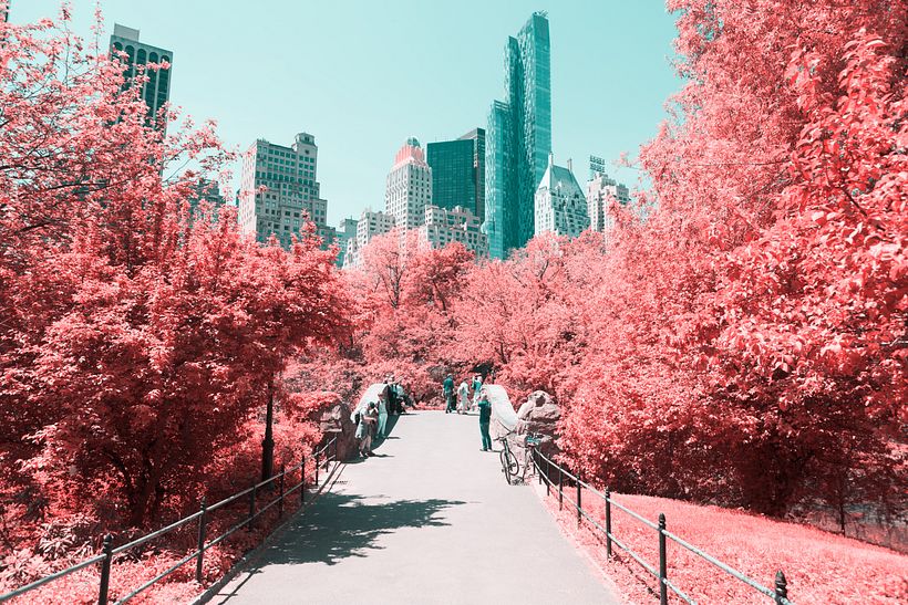 Infrared NYC 7