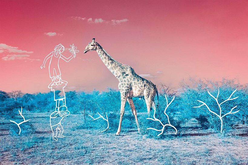 Sofidel 2021 Calendar 7